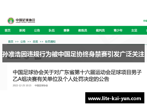 孙准浩因违规行为被中国足协终身禁赛引发广泛关注 孙准浩因违规行为被中国足协终身禁赛引发广泛关注